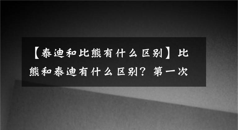 【泰迪和比熊有什么区别】比熊和泰迪有什么区别？第一次适合养狗的是什么？文章配图