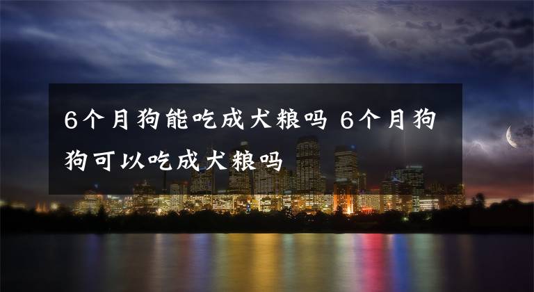 6个月狗能吃成犬粮吗 6个月狗狗可以吃成犬粮吗