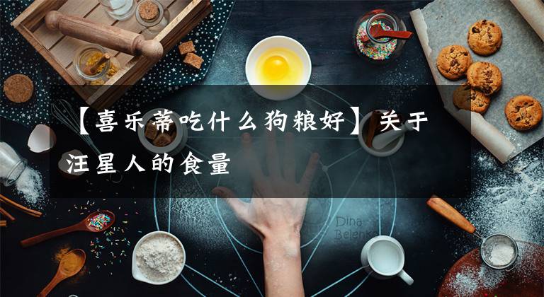 【喜乐蒂吃什么狗粮好】关于汪星人的食量