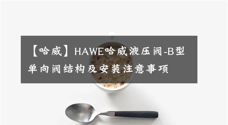 【哈威】HAWE哈威液压阀-B型单向阀结构及安装注意事项