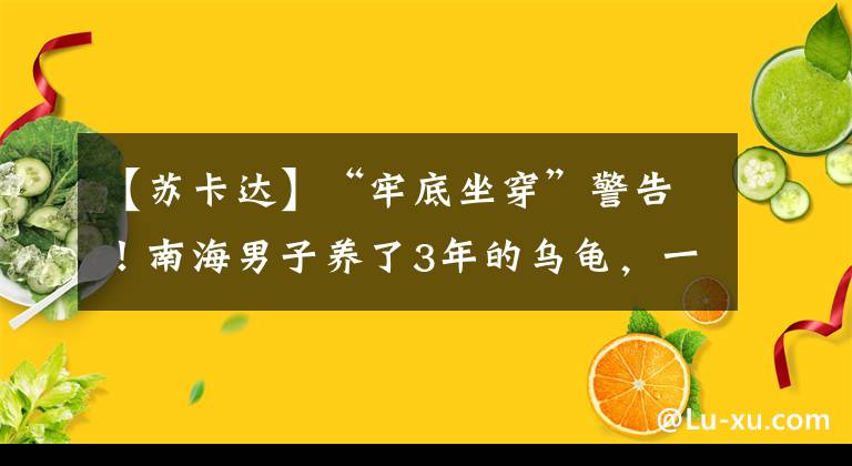 【苏卡达】“牢底坐穿”警告！南海男子养了3年的乌龟，一查来头不小……