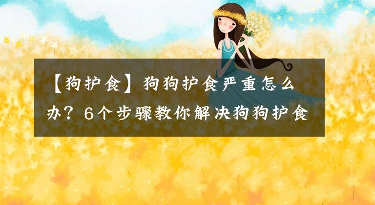 【狗护食】狗狗护食严重怎么办？6个步骤教你解决狗狗护食行为