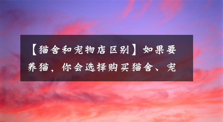 【猫舍和宠物店区别】如果要养猫，你会选择购买猫舍、宠物店、网购还是领养呢？