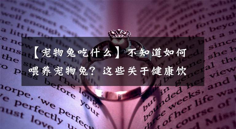 【宠物兔吃什么】不知道如何喂养宠物兔？这些关于健康饮食的需求你需要知道