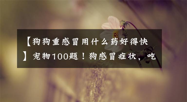 【狗狗重感冒用什么药好得快】宠物100题！狗感冒症状，吃什么药有效？建议收藏