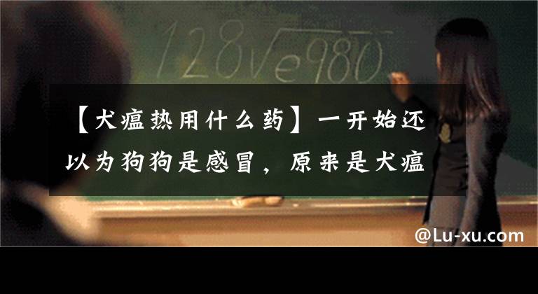 【犬瘟热用什么药】一开始还以为狗狗是感冒，原来是犬瘟热，应该怎样治疗？