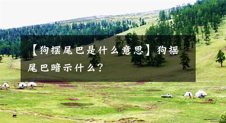 【狗摆尾巴是什么意思】狗摇尾巴暗示什么？文章配图
