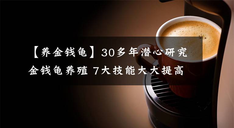 【养金钱龟】30多年潜心研究金钱龟养殖 7大技能大大提高孵化率