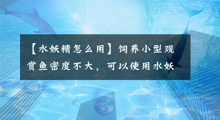 【水妖精怎么用】饲养小型观赏鱼密度不大，可以使用水妖精开缸吗，怎么不可以？