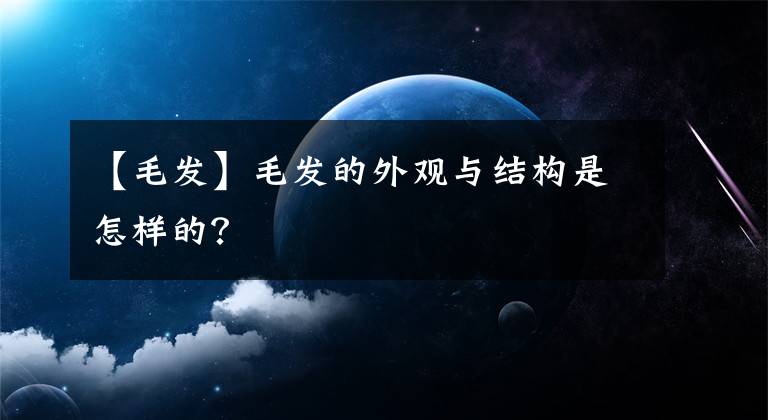 【毛发】毛发的外观与结构是怎样的？