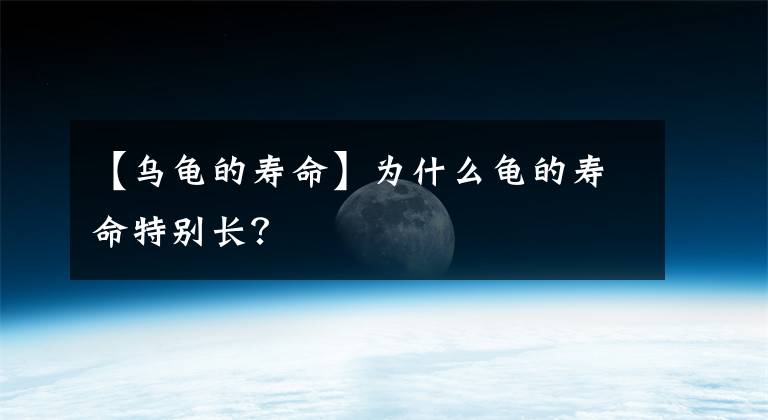 【乌龟的寿命】为什么龟的寿命特别长？