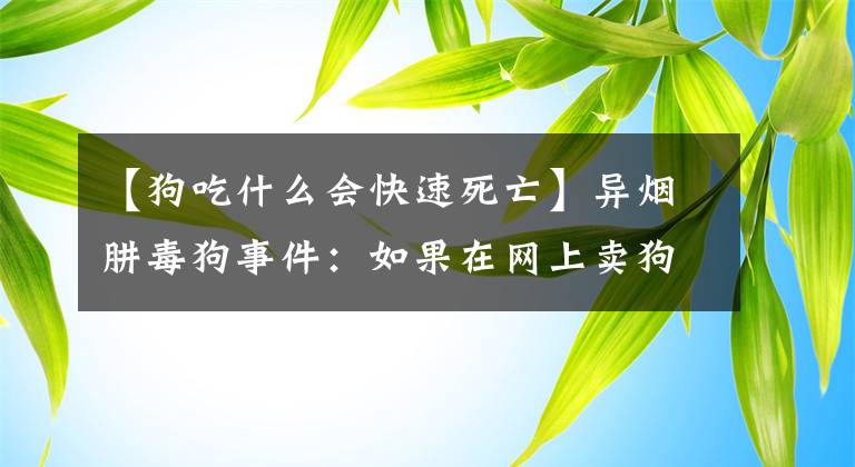 【狗吃什么会快速死亡】异烟肼毒狗事件：如果在网上卖狗，20分钟内就会死。