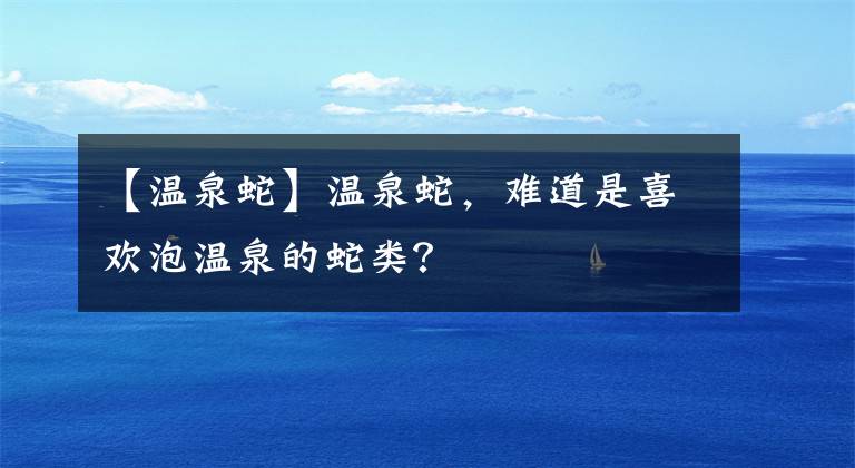 【温泉蛇】温泉蛇，难道是喜欢泡温泉的蛇类？