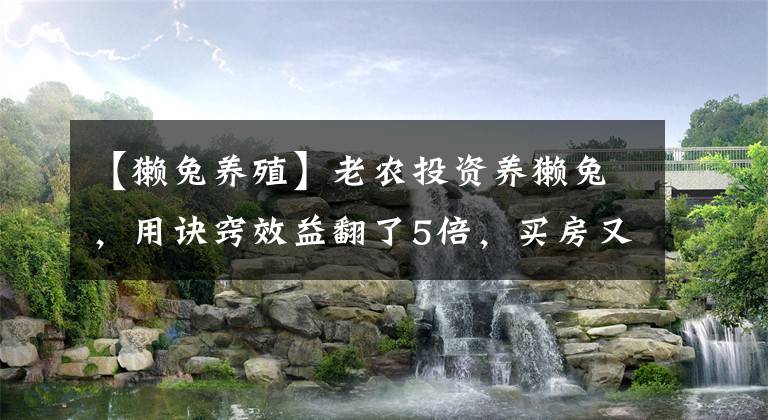 【獭兔养殖】老农投资养獭兔，用诀窍效益翻了5倍，买房又买车，方法简单实用