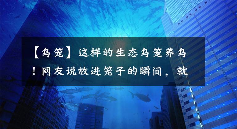 【鸟笼】这样的生态鸟笼养鸟！网友说放进笼子的瞬间，就成野生的啦