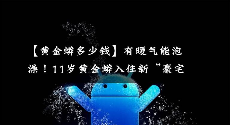 【黄金蟒多少钱】有暖气能泡澡！11岁黄金蟒入住新“豪宅”