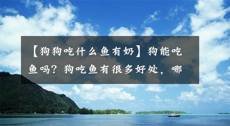 【狗狗吃什么鱼有奶】狗能吃鱼吗？狗吃鱼有很多好处，哪条鱼对狗更好？