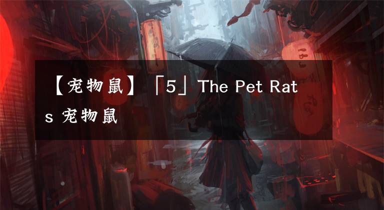 【宠物鼠】「5」The Pet Rats 宠物鼠