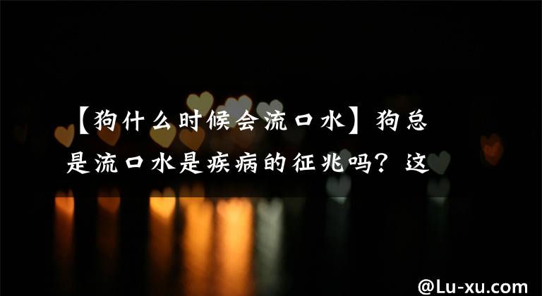 【狗什么时候会流口水】狗总是流口水是疾病的征兆吗？这七个理由，你知道多少？