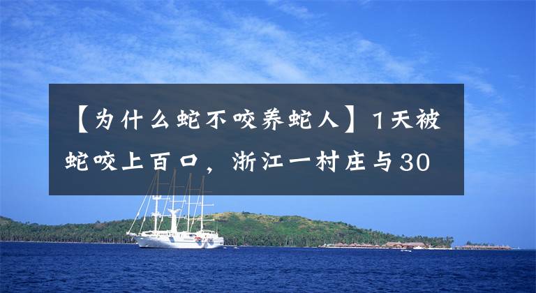 【为什么蛇不咬养蛇人】1天被蛇咬上百口，浙江一村庄与300万条蛇生存40年，靠蛇来赚钱