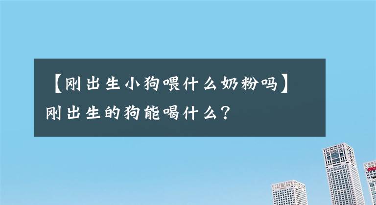 【刚出生小狗喂什么奶粉吗】刚出生的狗能喝什么？