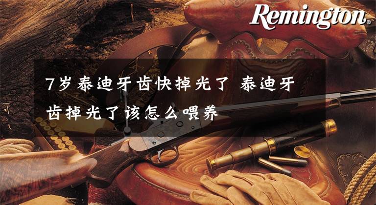 7岁泰迪牙齿快掉光了 泰迪牙齿掉光了该怎么喂养文章配图