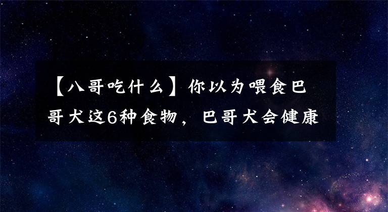 【八哥吃什么】你以为喂食巴哥犬这6种食物，巴哥犬会健康，但其实在给它折寿！