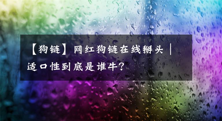 【狗链】网红狗链在线掰头｜适口性到底是谁牛？