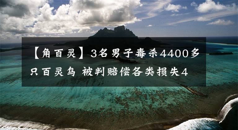 【角百灵】3名男子毒杀4400多只百灵鸟 被判赔偿各类损失440余万元