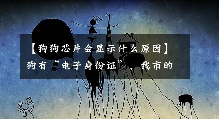 【狗狗芯片会显示什么原因】狗有“电子身份证”，我市的狗只管理到“核心”时代。