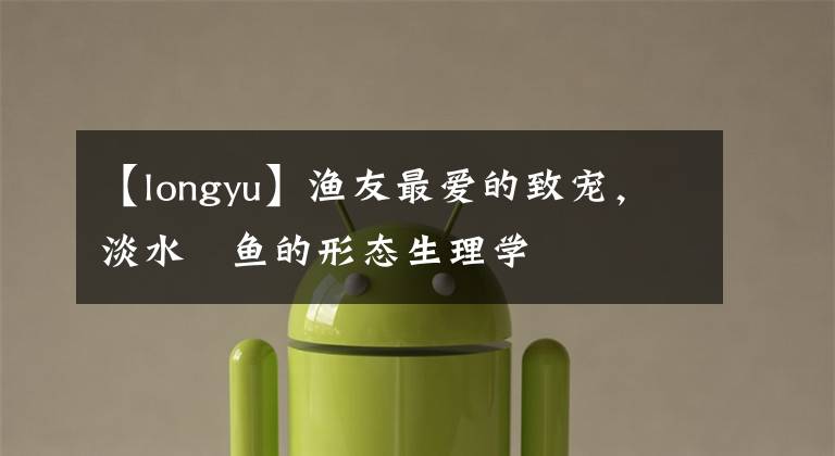 【longyu】渔友最爱的致宠，淡水魟鱼的形态生理学