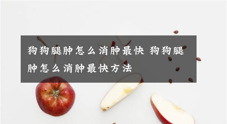 狗狗腿肿怎么消肿最快 狗狗腿肿怎么消肿最快方法文章配图