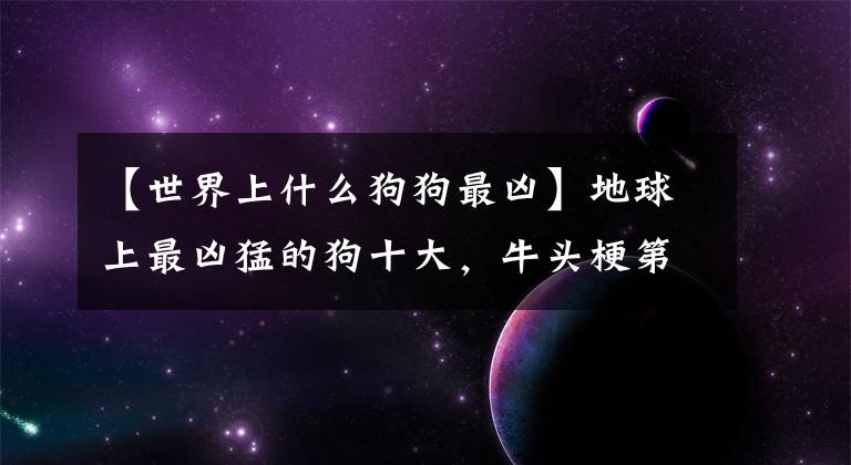 【世界上什么狗狗最凶】地球上最凶猛的狗十大，牛头梗第九，高加索第二，中国藏獒第一。