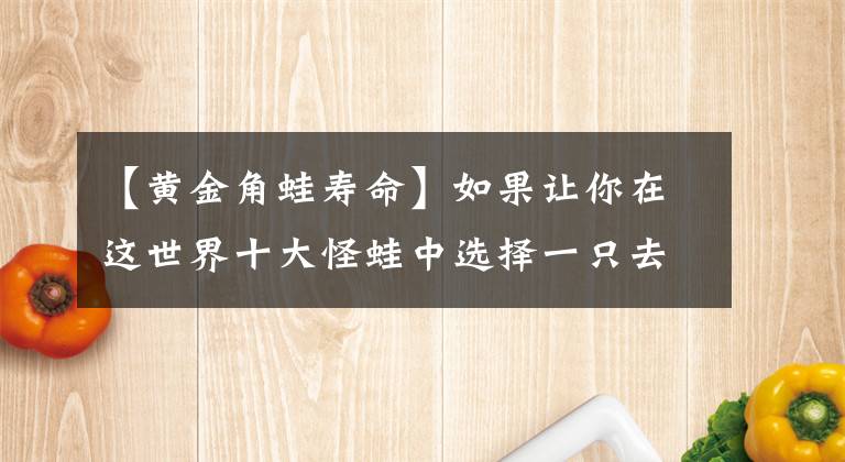 【黄金角蛙寿命】如果让你在这世界十大怪蛙中选择一只去旅行，你会选择哪一只呢？