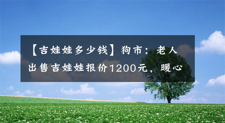 【吉娃娃多少钱】狗市：老人出售吉娃娃报价1200元，暖心为吉娃娃穿上衣服！