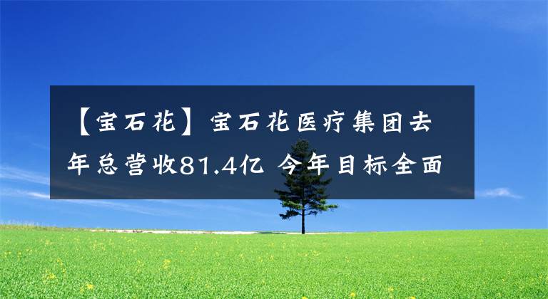 【宝石花】宝石花医疗集团去年总营收81.4亿 今年目标全面扭亏