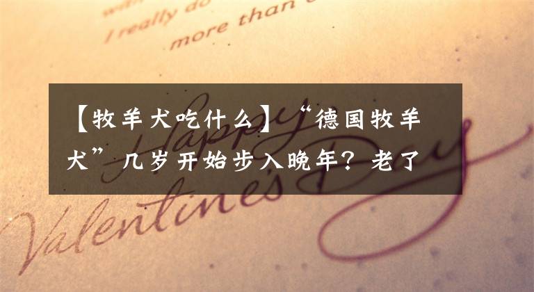 【牧羊犬吃什么】“德国牧羊犬”几岁开始步入晚年？老了的德牧如何照顾才正确？