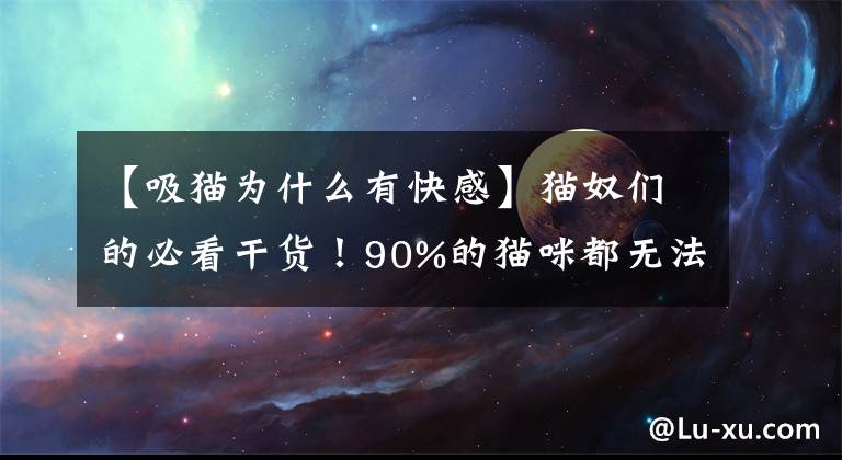 【吸猫为什么有快感】猫奴们的必看干货！90%的猫咪都无法避免的猫疱疹究竟是个啥？