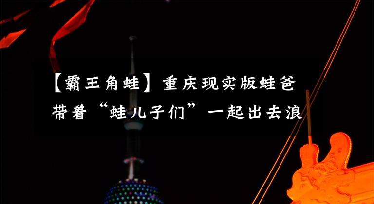 【霸王角蛙】重庆现实版蛙爸 带着“蛙儿子们”一起出去浪