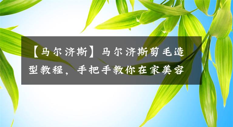 【马尔济斯】马尔济斯剪毛造型教程，手把手教你在家美容