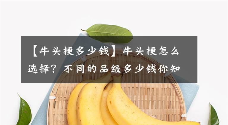 【牛头梗多少钱】牛头梗怎么选择？不同的品级多少钱你知道吗？