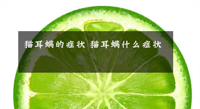 猫耳螨的症状 猫耳螨什么症状文章配图