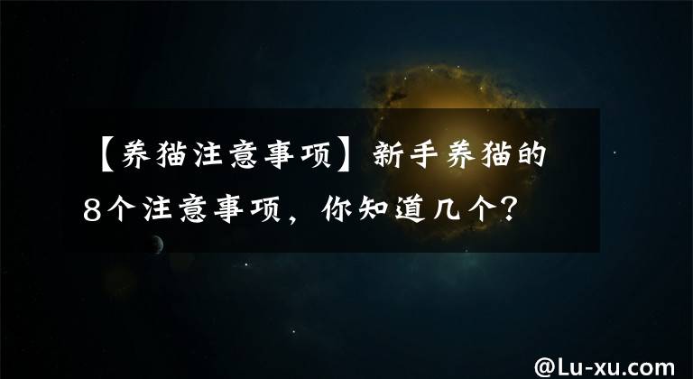 【养猫注意事项】新手养猫的8个注意事项，你知道几个？