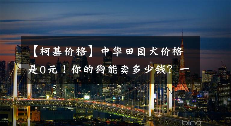 【柯基价格】中华田园犬价格是0元！你的狗能卖多少钱？一查就知道