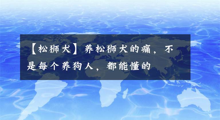 【松狮犬】养松狮犬的痛，不是每个养狗人，都能懂的