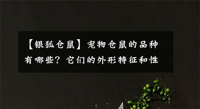 【银狐仓鼠】宠物仓鼠的品种有哪些？它们的外形特征和性格是怎样的？