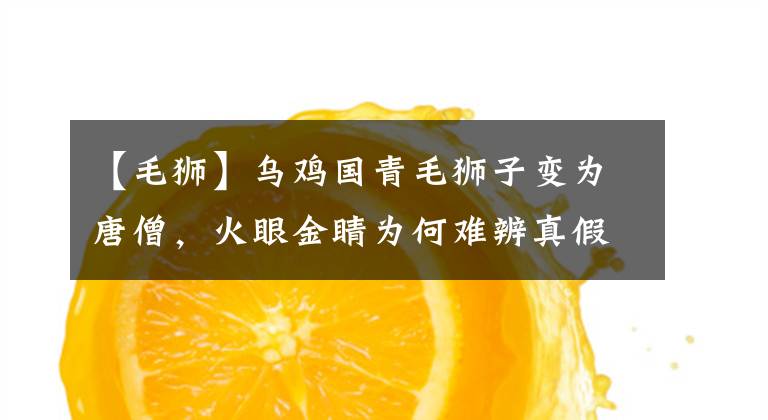 【毛狮】乌鸡国青毛狮子变为唐僧，火眼金睛为何难辨真假，你看悟空说了啥