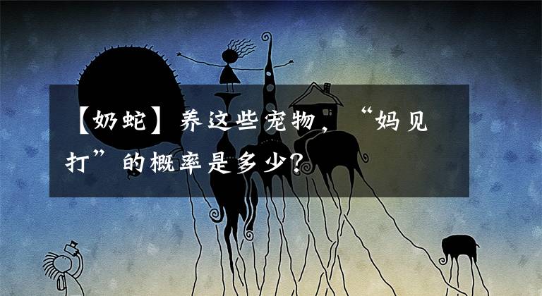 【奶蛇】养这些宠物，“妈见打”的概率是多少？