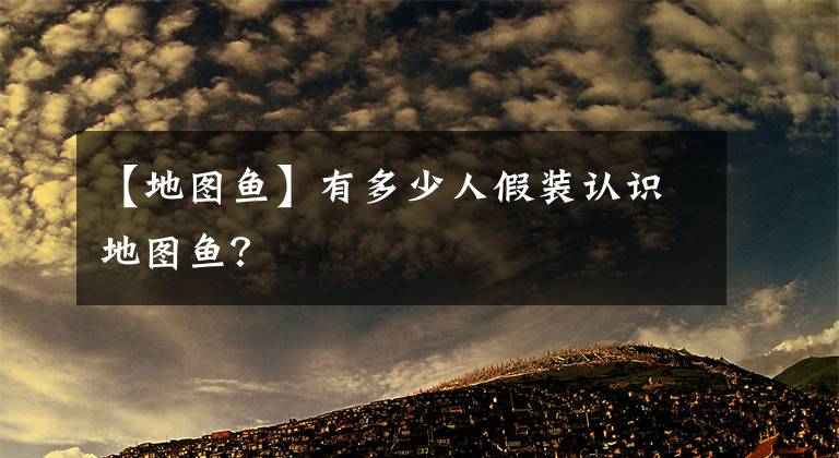 【地图鱼】有多少人假装认识地图鱼？