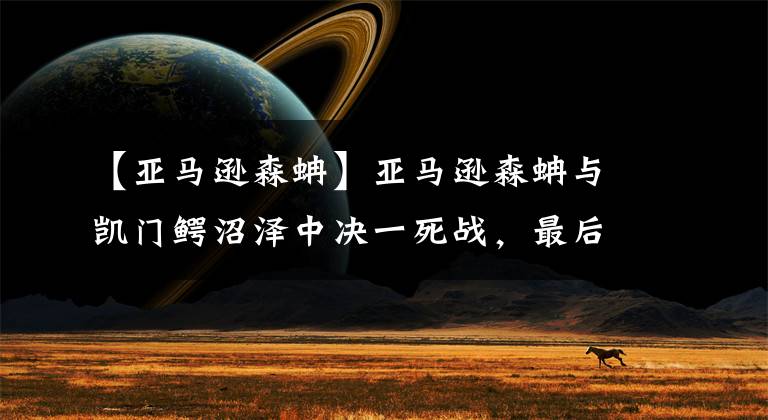 【亚马逊森蚺】亚马逊森蚺与凯门鳄沼泽中决一死战，最后结局出乎人意料！